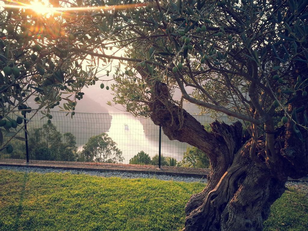 Quinta Das Tilias Douro Valley Cabaca Exteriör bild