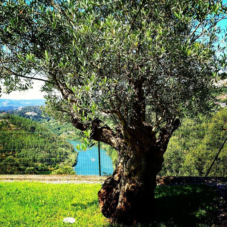 Quinta Das Tilias Douro Valley Cabaca Exteriör bild
